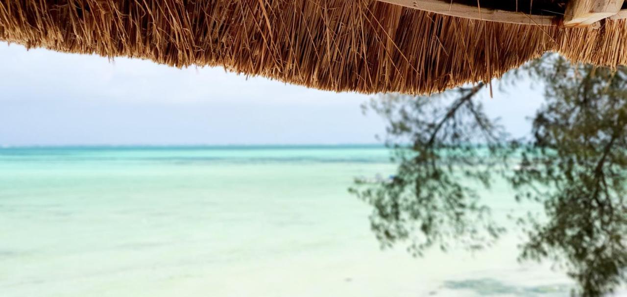 Arya Boutique Resort Kiwengwa  Dış mekan fotoğraf