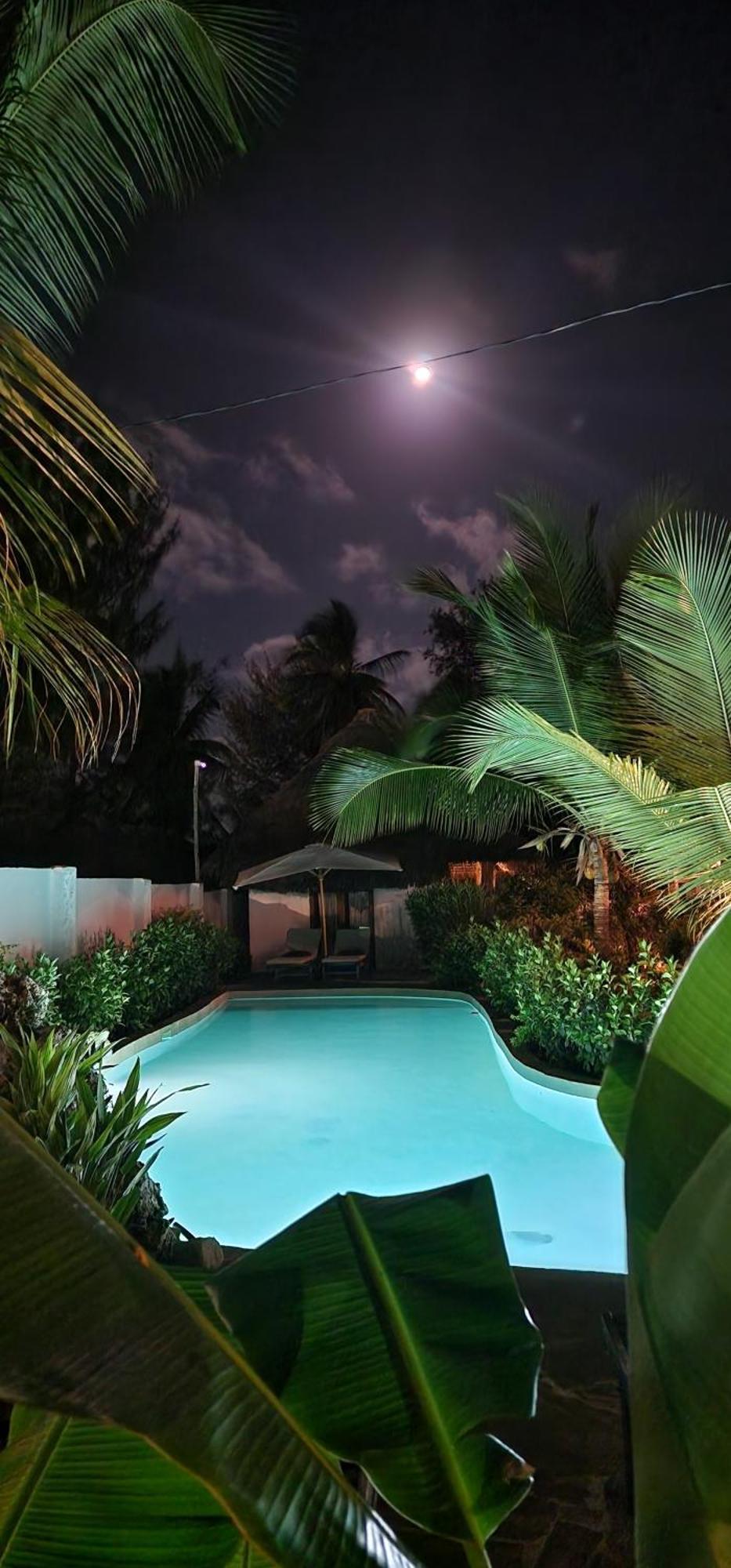 Arya Boutique Resort Kiwengwa  Dış mekan fotoğraf