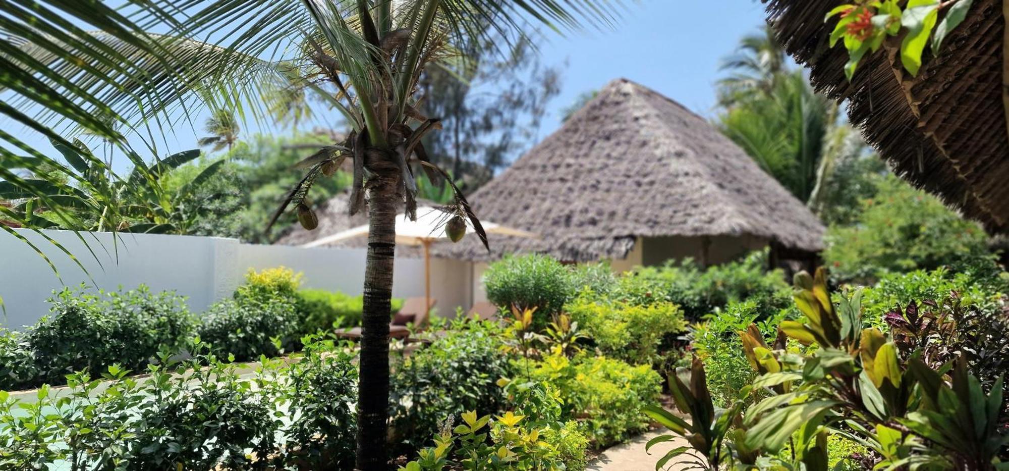 Arya Boutique Resort Kiwengwa  Dış mekan fotoğraf